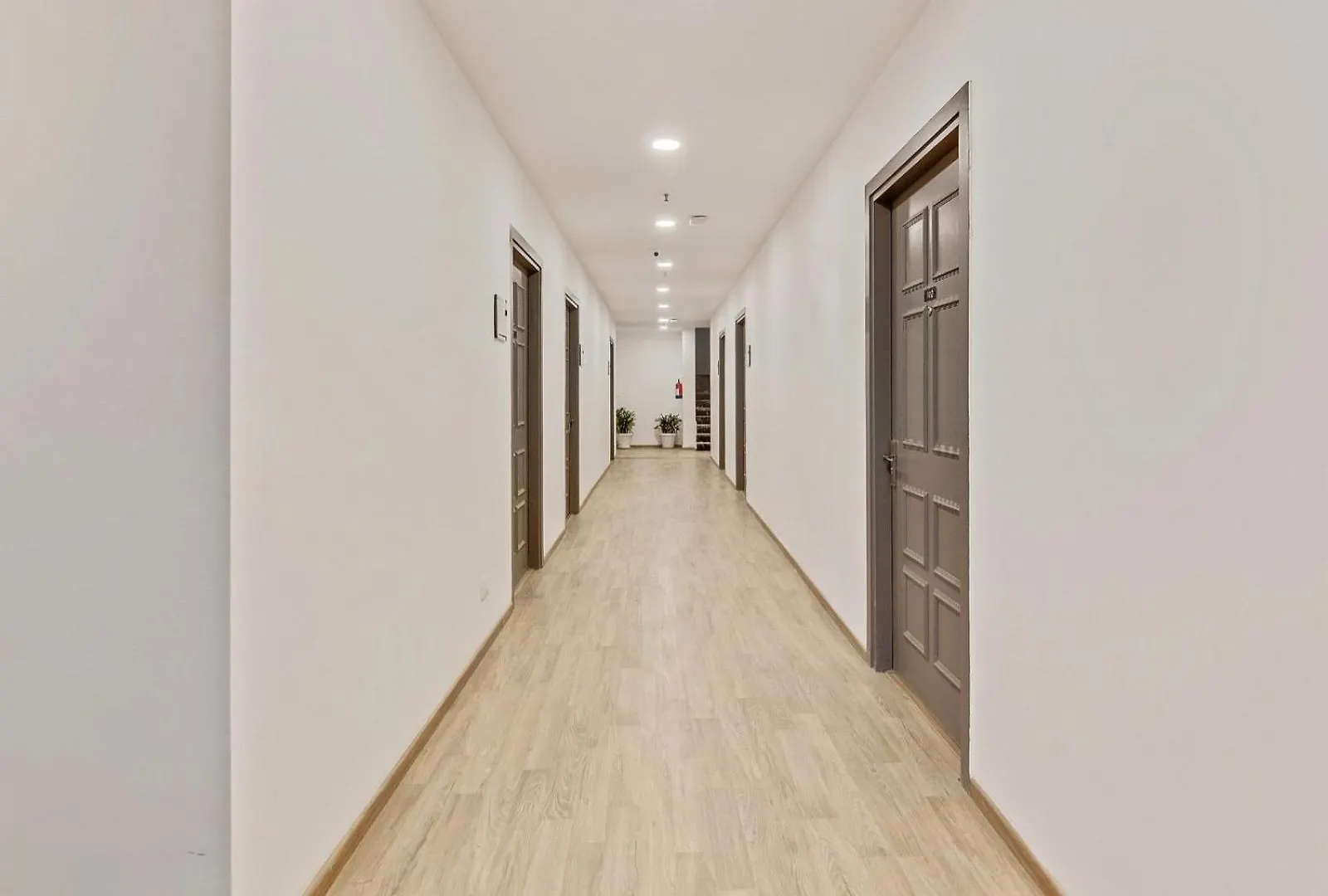 Hotel Loha Nuova Delhi